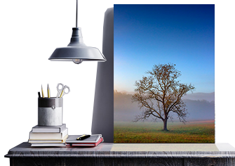 Photo Lab Services