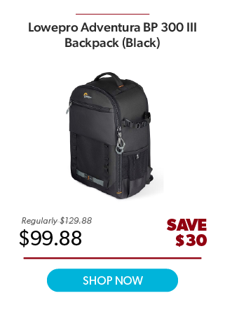 Lowepro Adventura BP 300 III