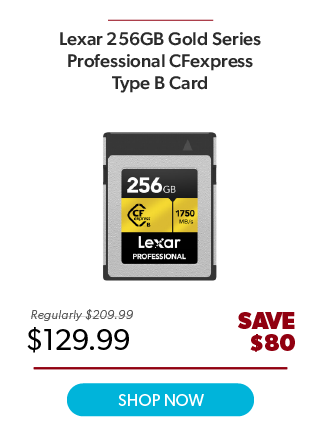 Lexar 256GB Type B Memory Card